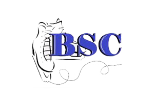 Bassano Skating Club